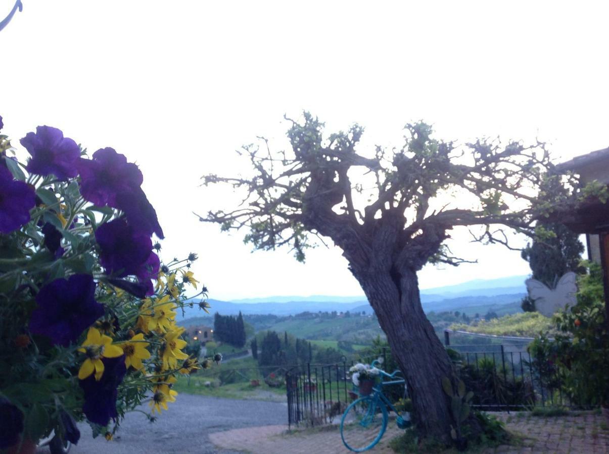 Podere Botruccio Bellaria Pomarance Exterior foto